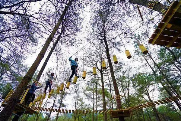儿童丛林飞跃设备 儿童乐园拓展器材设计规划 新型游乐项目 1