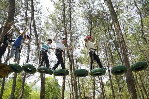 树林穿越障碍项目建造 濮阳青少年丛林探险项目 1