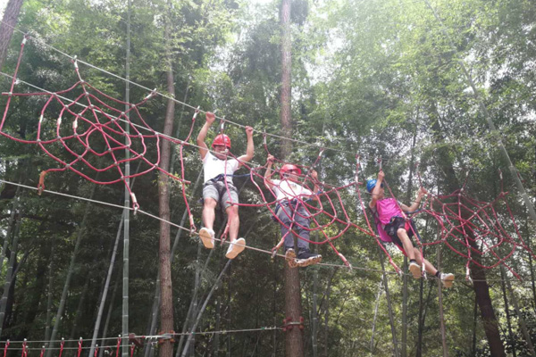 郑州学生丛林探险预算 森林游乐设备设计规划 2