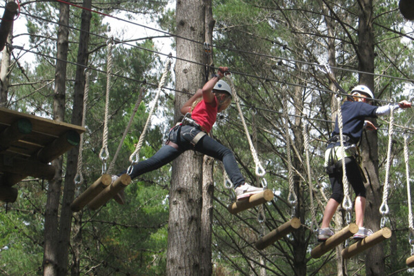 安阳学生丛林探险报价 树上游乐设施设计规划 新型游乐项目 3