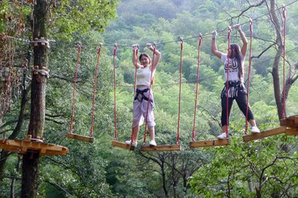 安阳学生丛林探险报价 树上游乐设施设计规划 新型游乐项目 2