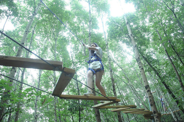 丛林穿越障碍项目施工 商丘青少年丛林飞跃价格 新型游乐项目 1