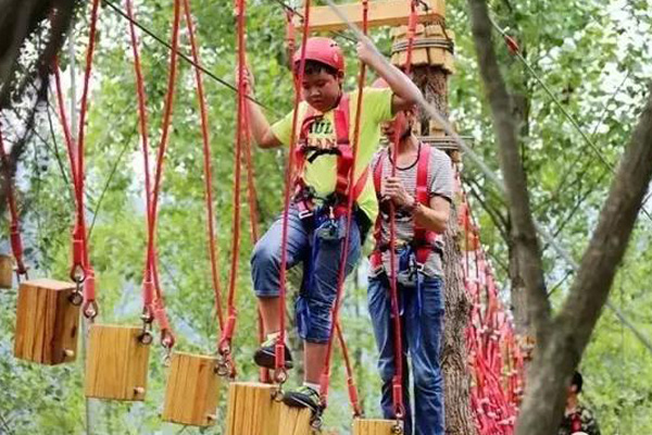 濮阳农庄丛林探险设备 研学基地游乐设施安装 新型游乐项目 1