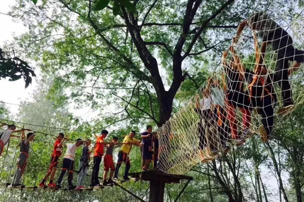 亲子互动游乐设施建造 非标定制 鹤壁儿童丛林探险设备 1