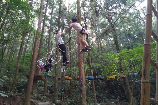 亲子互动游乐设施建造 非标定制 鹤壁儿童丛林探险设备 2
