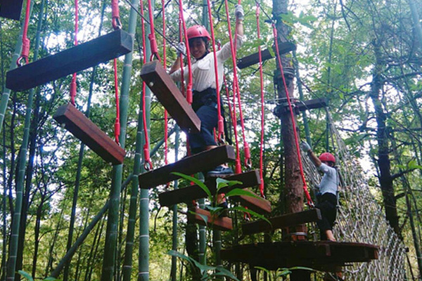 无动力游乐 焦作儿童丛林飞跃报价 森林游乐设备施工 3