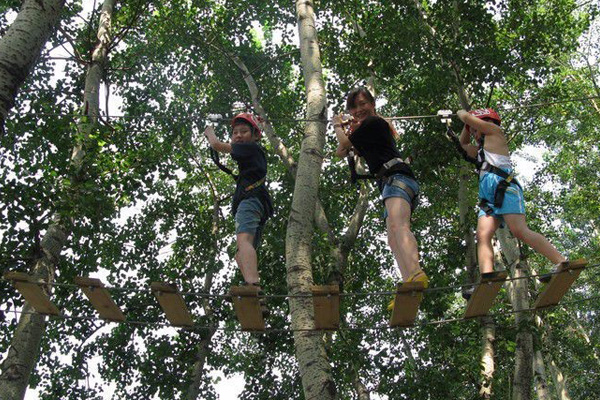 超能勇士拓展 漯河儿童丛林探险项目 树上探险闯关设备安装 1