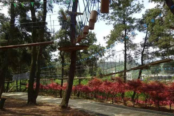 树林游乐设备建造 新乡景区丛林飞跃设施 2