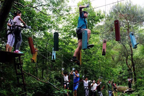 郑州学生丛林穿越项目 好玩的项目 森林探险闯关设备安装 1