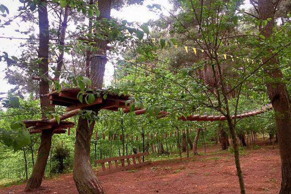 超能勇士拓展 树林穿越障碍项目安装 洛阳农庄丛林探险项目 3