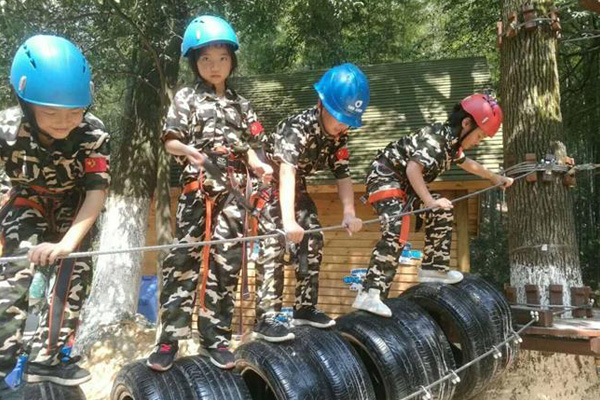 无动力游乐 儿童乐园穿越障碍项目建造 郑州农场丛林穿越设备 1