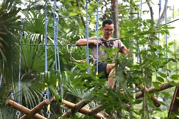 济源景区丛林探险设备 丛林游乐设施安装 无动力游乐 1