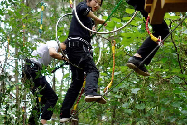 树林探险闯关设备建造 超能勇士拓展 济源学生丛林穿越预算 1