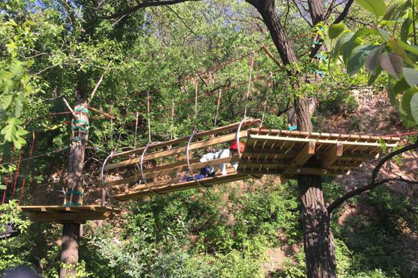 濮阳儿童丛林探险预算 树上游乐设施设计规划 非标定制 1