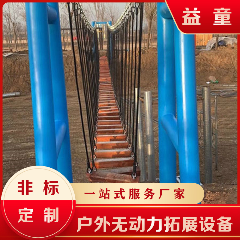 生态园水上乐园项目 郑州益童 网红吊桥设备运营规划 1
