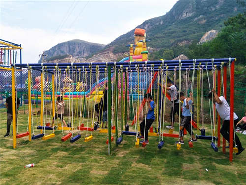 新乡儿童野外拓展训练设备-儿童乐园休闲游乐设备图片 2