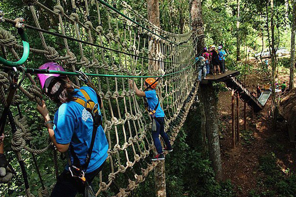 商丘学生丛林探险设施 丛林游乐设施设计规划 3