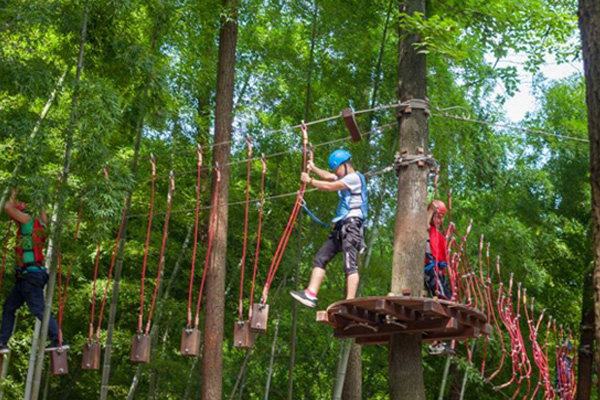 安阳学生丛林探险报价 树上游乐设施设计规划 新型游乐项目