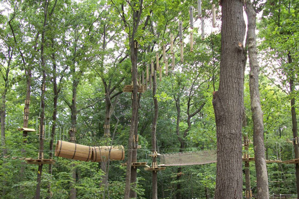树上穿越障碍项目建造 超能勇士拓展
