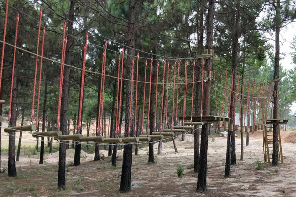 平顶山儿童丛林飞跃设备 好玩的项目 研学基地游乐设施建造