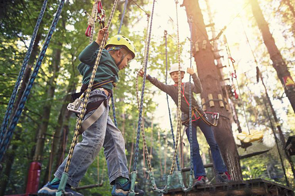 安阳儿童丛林探险预算 非标定制 树林穿越障碍项目安装