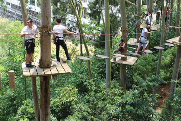 济源景区丛林探险设备 丛林游乐设施安装 无动力游乐
