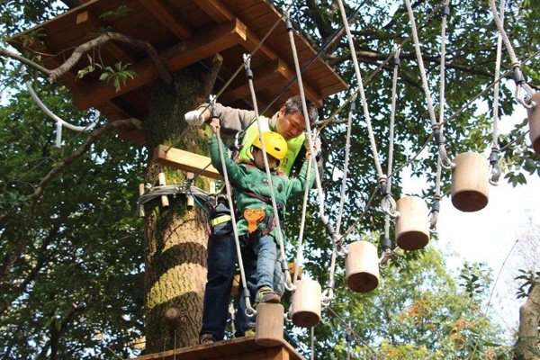 开封儿童丛林穿越价格 森林拓展设备设计规划 新型游乐项目