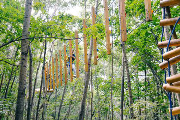 好玩的项目 商丘儿童丛林飞跃设备 树上游乐设备施工