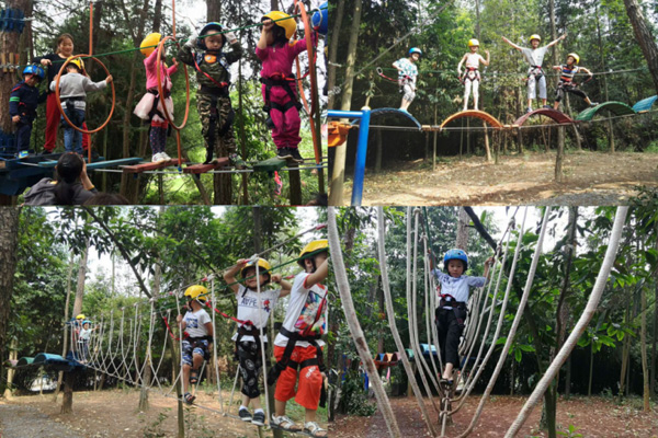 学生树林拓展器材 丛林穿越项目建设