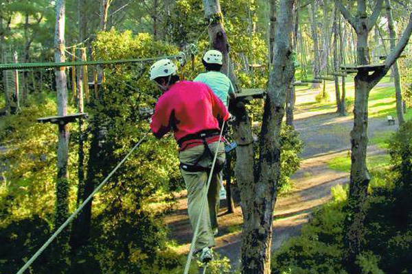 河南农场丛林穿越项目 超能勇士拓展 树上穿越障碍项目安装