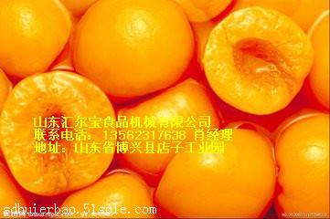厂家直供 水果罐头加工设备 山东汇尔宝 2023年热销牌子1